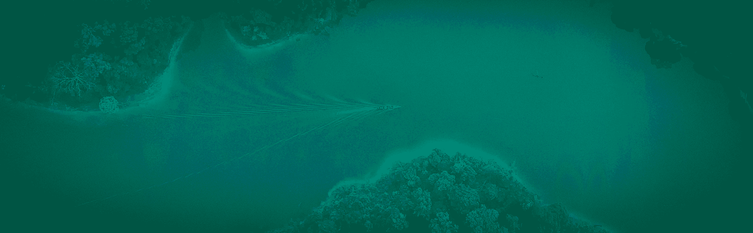 RESPONSABILIDADE SOCIOAMBIENTAL